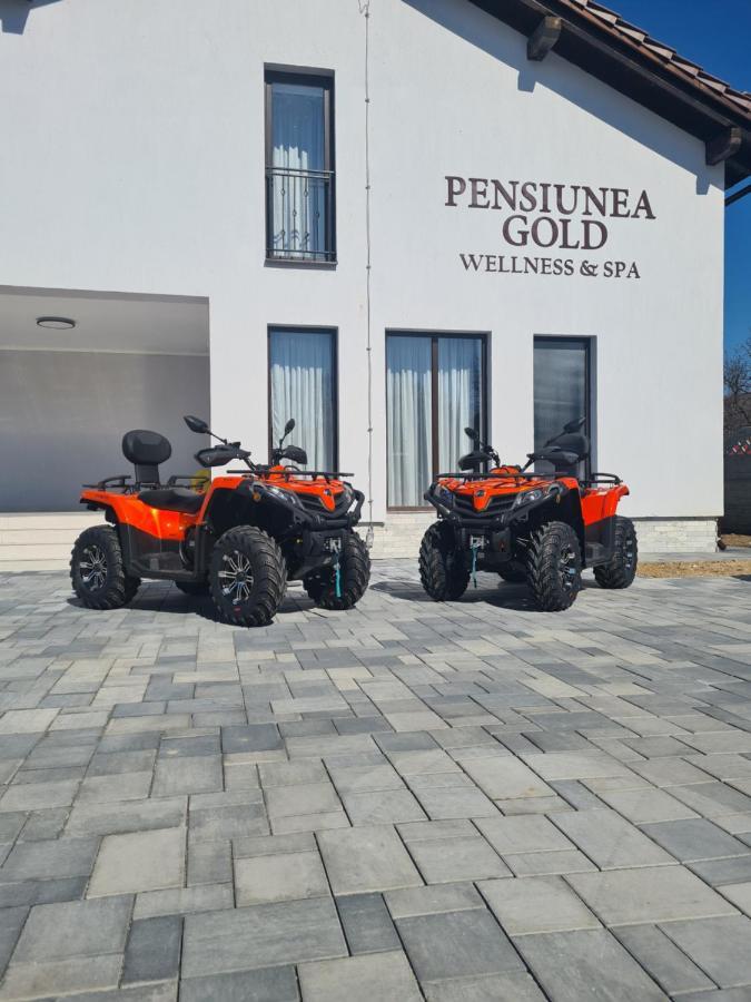 Pensiunea GOLD Wellness&Spa Chiscau Exterior foto