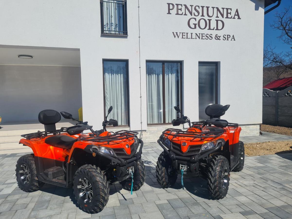 Pensiunea GOLD Wellness&Spa Chiscau Exterior foto